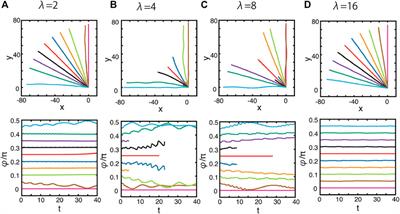 Squirmer hydrodynamics near a periodic surface topography